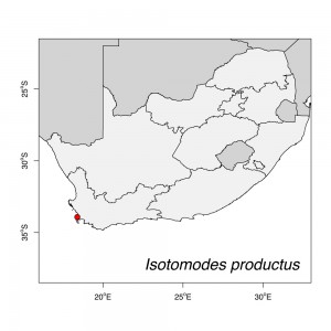 Isotomodes productus Map