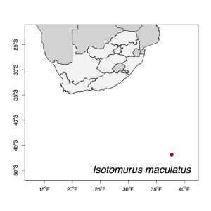 Isotomurus maculatus Map