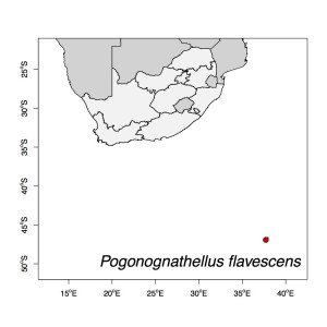 Pogonognathellus flavescens Map
