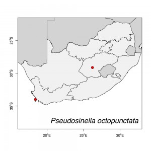 Pseudosinella octopunctata Map